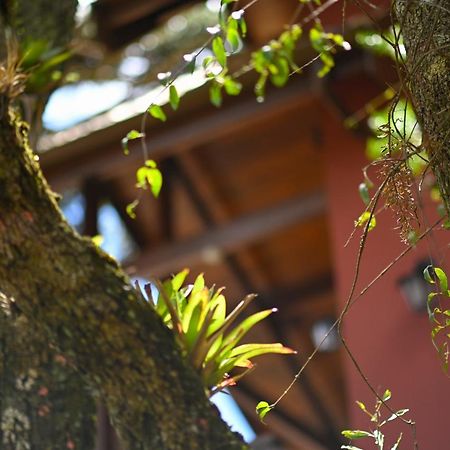 Badenwein Βίλα Campos do Jordão Εξωτερικό φωτογραφία